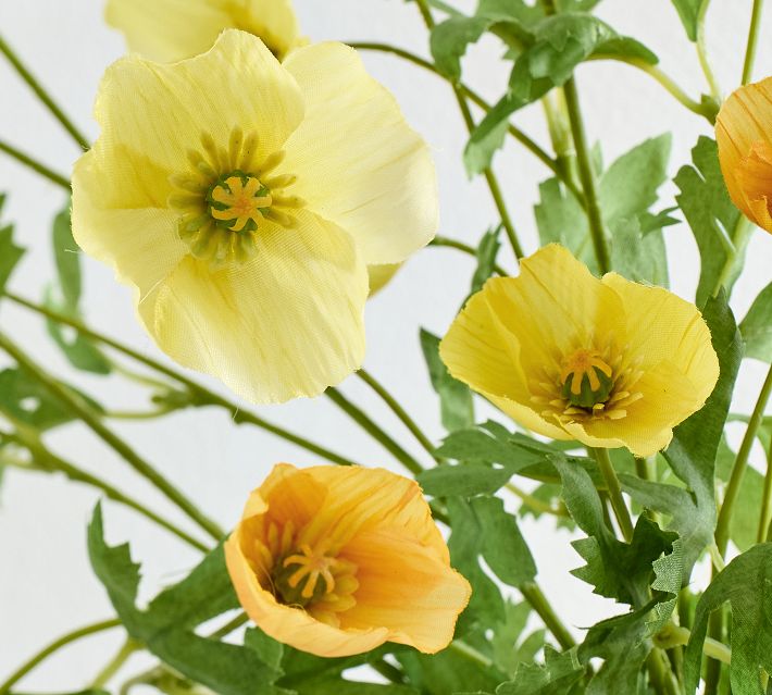 （カエサル）poppy Flower JACQUARD OFF カエサル様専用）poppy Flower JACQUARD OFF