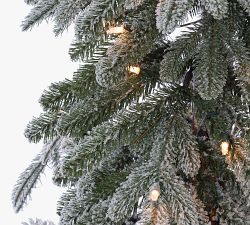 Lit Flocked Faux Natural Cut Alpine Trees