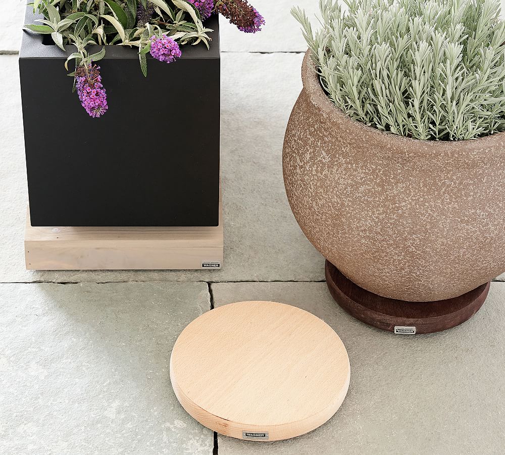Plant Caddy On Wheels- No Show Casters