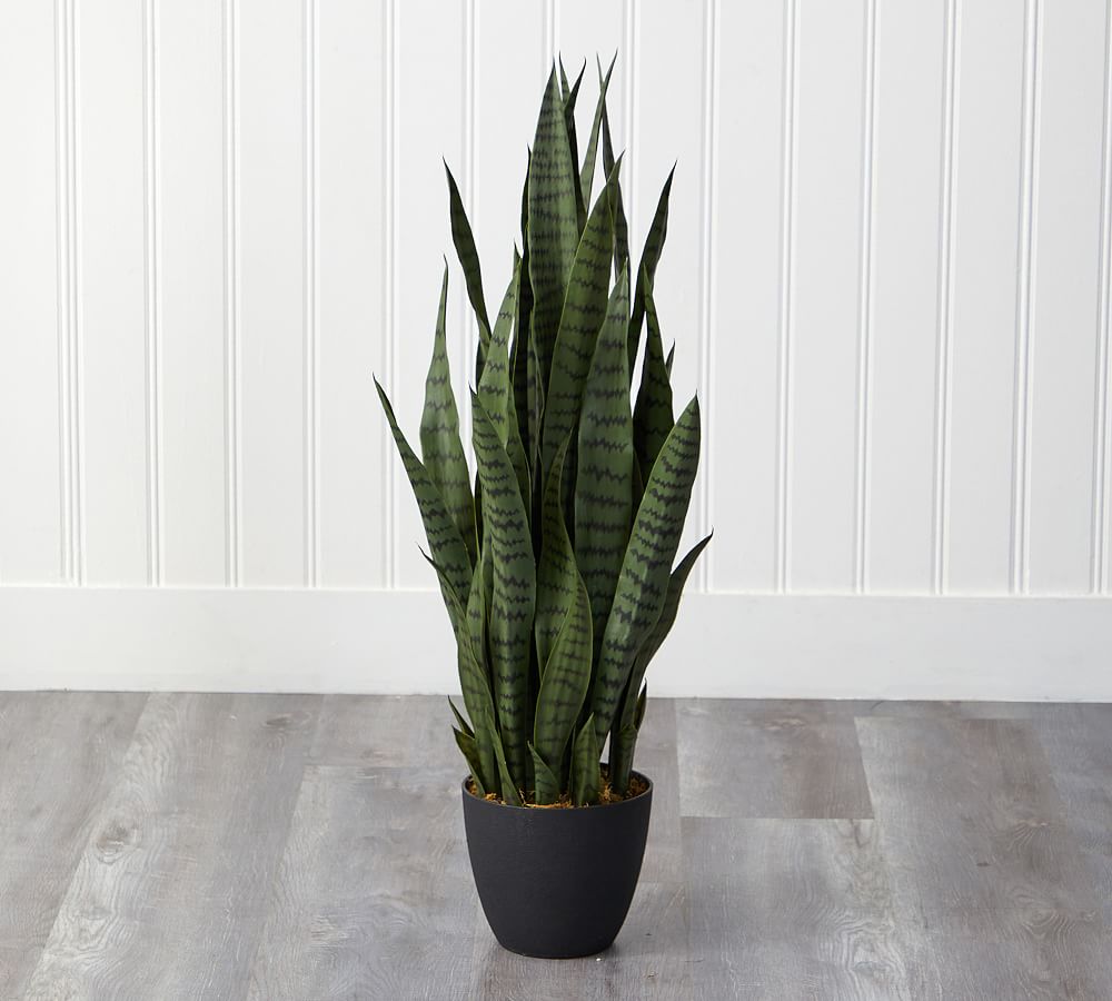 Sansevieria Faux Plant