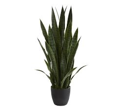 Sansevieria Faux Plant