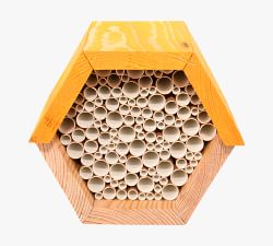 Buzz Bee House