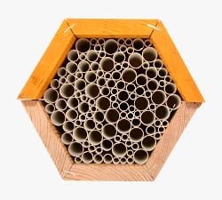 Buzz Bee House