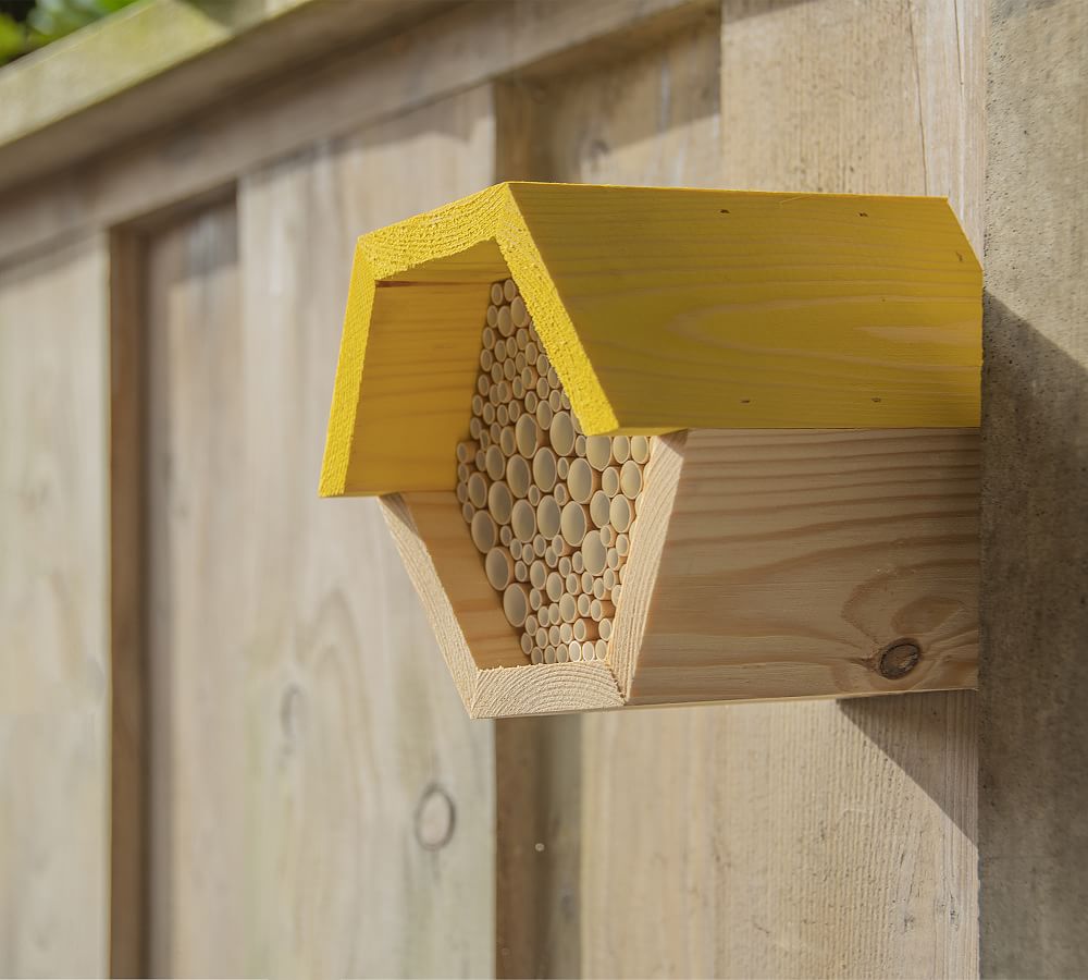 Buzz Bee House