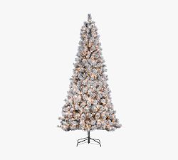 Lit Flocked Boise Pine Faux Christmas Trees