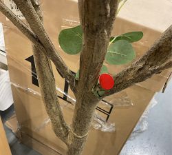 Open Box: Faux Silver Dollar Eucalyptus Tree