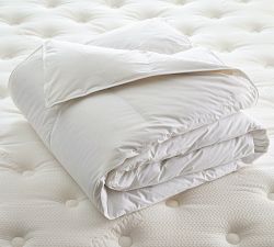 Westin&#174; Down Duvet Insert