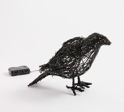 Wednesday Lit Raven