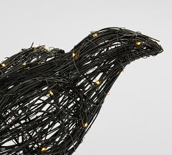 Wednesday Lit Raven