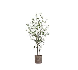 Faux Cornus Trees In Terracotta Planter