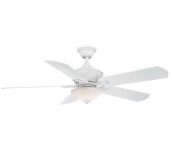 Camhaven Ceiling Fan With Glass Bowl Light Kit (52&quot;)