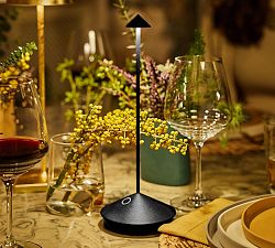 Zafferano Pina Pro Cordless Light