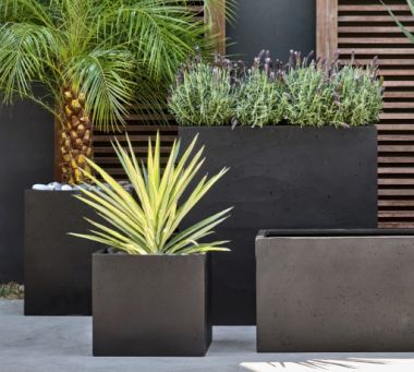 Planters &amp; Plant Stands