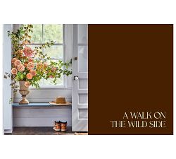 Home In Bloom by Ariella Chezar