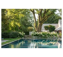 The Landscape of Home by Hollander Design