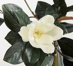 Faux Potted Magnolia Tree