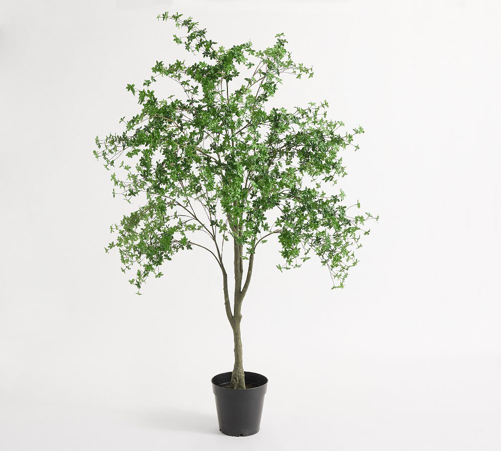 Open Box: Potted Gypsophilia Tree,  8Ft