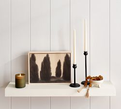Cypress Grove by Chelsea Fly