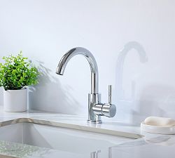 Hendrix Single Hole Bathroom Sink Faucet