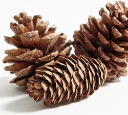 Mixed Pinecone Vase Filler