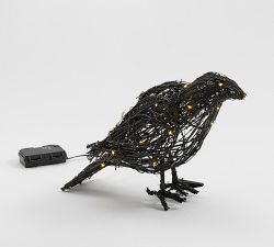 Wednesday Lit Raven