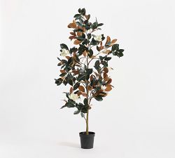 Faux Potted Magnolia Tree