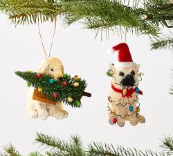 Bottlebrush Ornament Collection