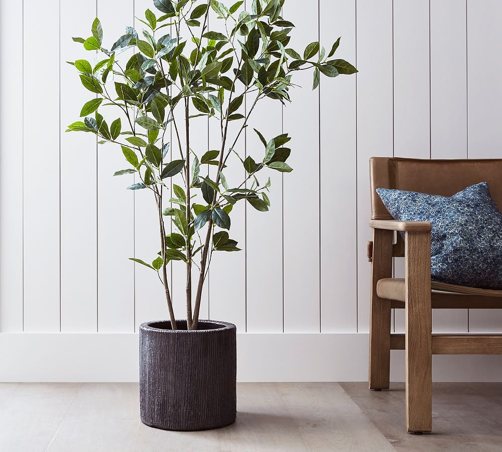 Open Box: Faux Bay Leaf Tree - 5'