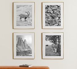 Stowe Modern Metal Frames - 24x30