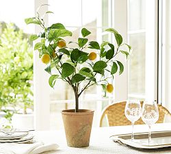 Monique Lhuillier Faux Lemon Tree