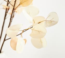 Faux Oversized Fading Eucalyptus Branch - 60&quot;