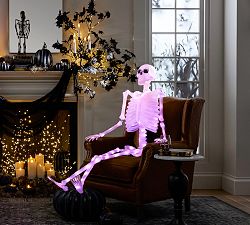 Lit Mr. Bones