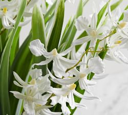 Faux Jasmine Composed Centerpiece
