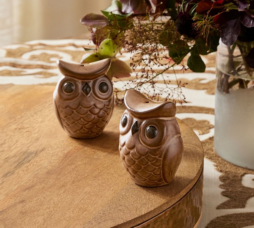 Figural Owl Salt &amp; Pepper Shaker
