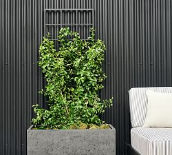Temple Street Trellis