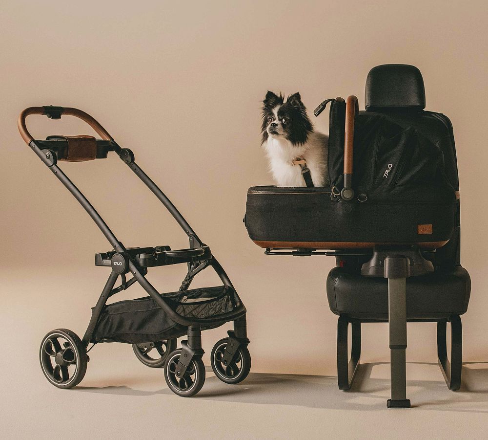 Tavo Maeve&#8482; + Roscoe&#8482; 3-In-1 Pet Protection System, Medium Rigid
