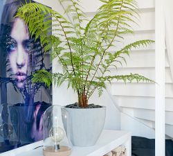 Ridged Short Tapered Cylinder Ficonstone Planters