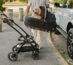 Tavo Maeve&#8482; + Roscoe&#8482; 3-In-1 Pet Protection System, Medium Rigid
