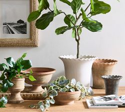 Faux Potted Trailing Houseplant