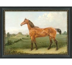 Apollo, Jasper, Samson, Hazel Framed Prints