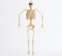 Open Box: Lit Mr. Bones