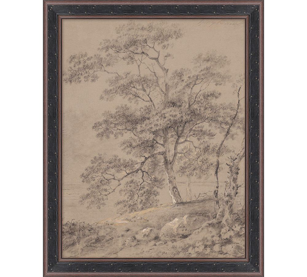 Scene Study With Tree Framed Print