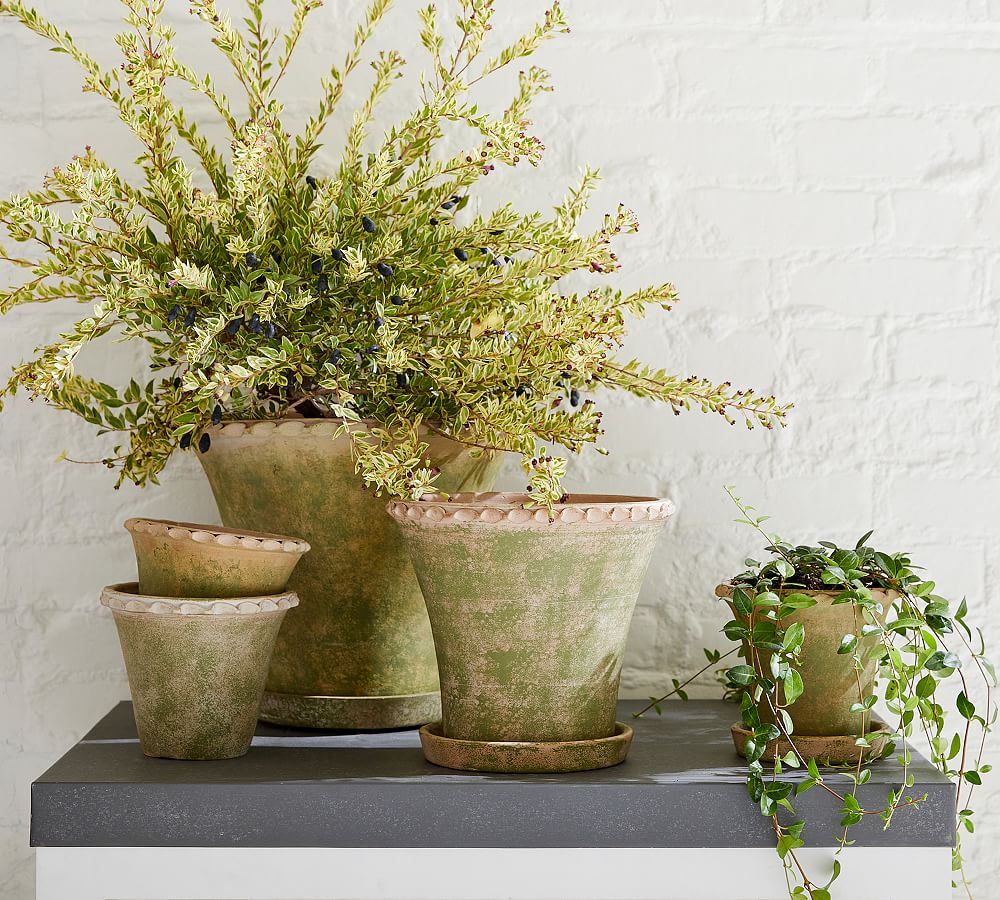 Provence Scalloped Edge Outdoor Planters - Moss