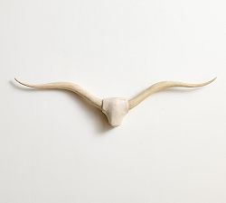 Longhorn Wall Art