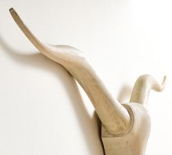 Longhorn Wall Art