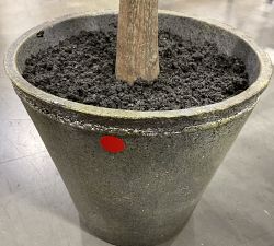 Open Box: Faux Black Olive Tree, Mini Leaf, Green