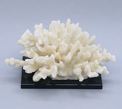 Open Box: Cluster Coral On Black Glass Base