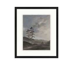 Two Trees by Chelsea Fly