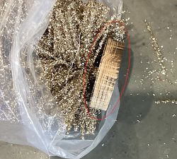 Open Box: Lit Bottlebrush Trees