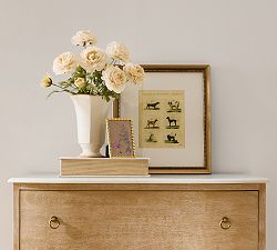 Dog Breeds Chart Framed Print
